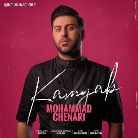 خرید و دانلود آهنگ بی کلام محمد چناری کمیاب