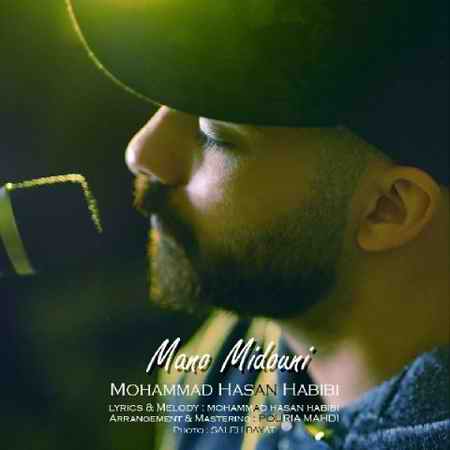 خرید و دانلود آهنگ بی کلام محمدحسن حبیبی منو میدونی