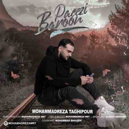 خرید و دانلود آهنگ بی کلام محمدرضا تقی پور بارون پاییزی