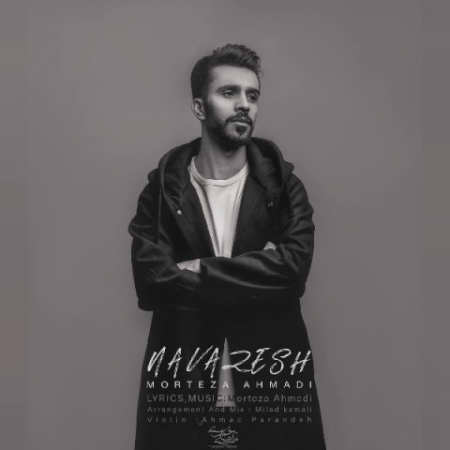 خرید و دانلود آهنگ بی کلام مرتضی احمدی نوازش